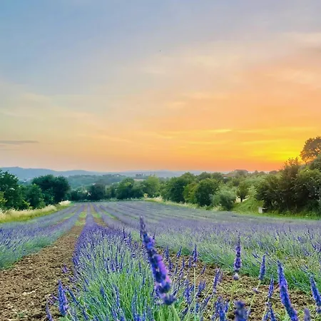 La Sera - Casaviva Апартаменты *